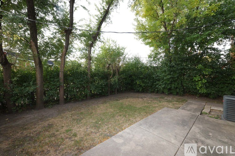 A backyard with a concrete path and greenery.