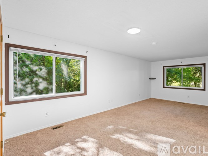 A room with a carpeted floor and two windows.