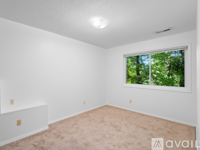 A room with a window and carpeted floor.