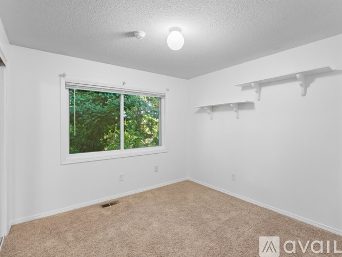 A room with a window and a carpeted floor.