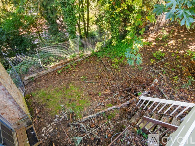 A backyard with a chair and a fence.