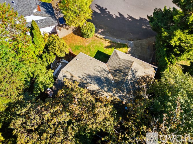 A house surrounded by trees from an aerial view.