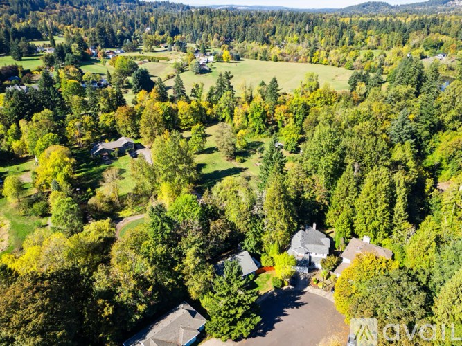 A bird's eye view of a residential area surrounded by trees.