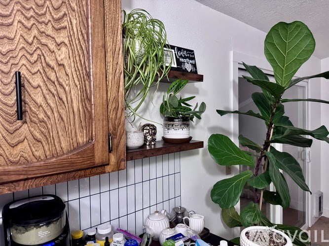 A kitchen counter with a plant and a shelf with a chalkboard sign.