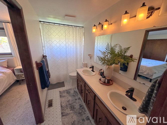 A bathroom with a sink, mirror, and a potted plant.