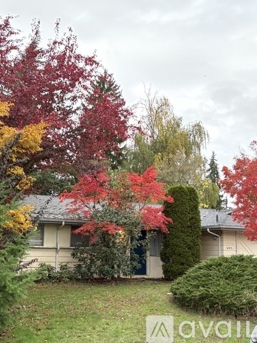 A tree with red leaves is in front of a house.