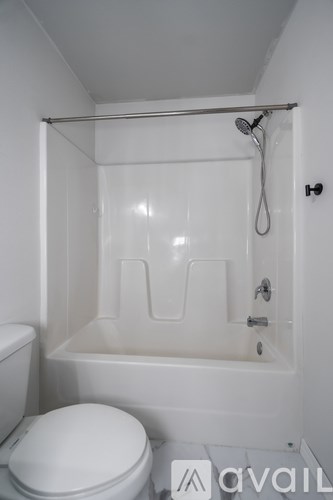 A white toilet sits next to a walk-in shower.