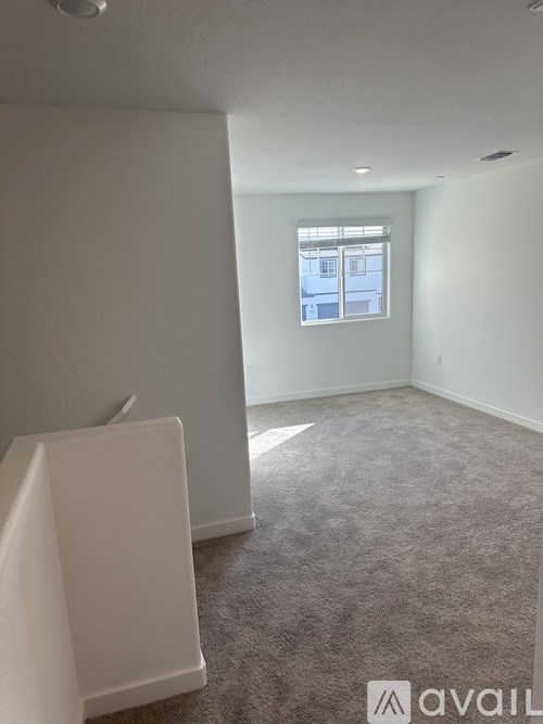 A room with a carpeted floor and a window.