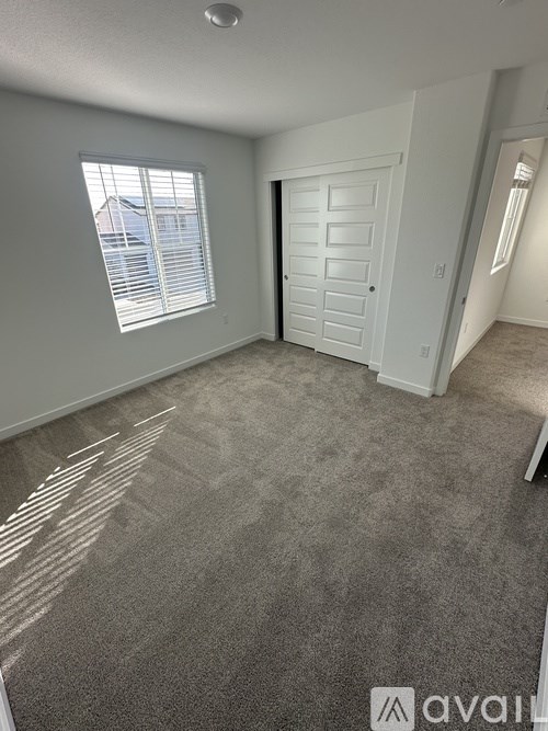 A room with a carpeted floor, a white door, and a window with blinds.