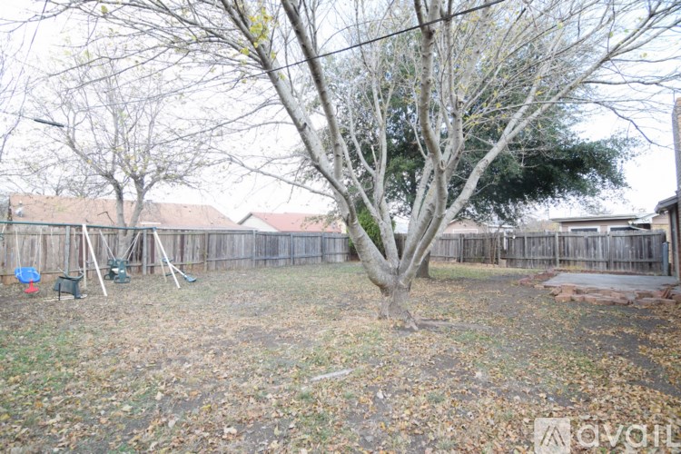 A backyard with a tree and a fence.