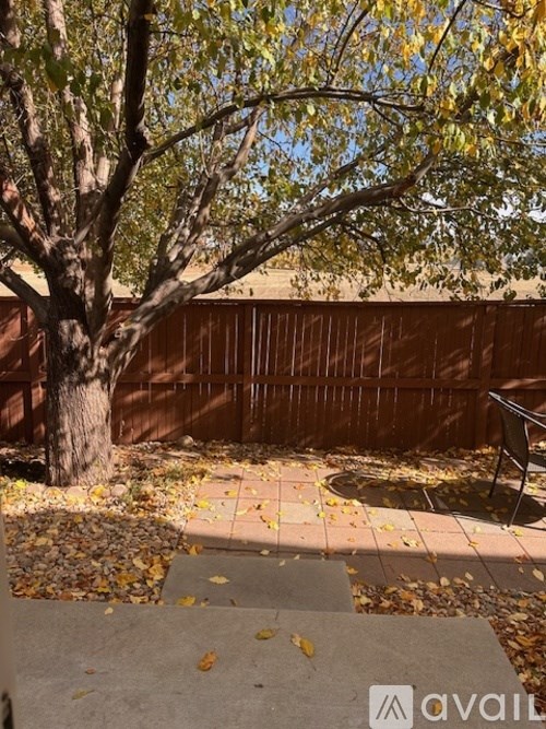 A tree with yellow leaves is in the foreground of a backyard with a brown fence.