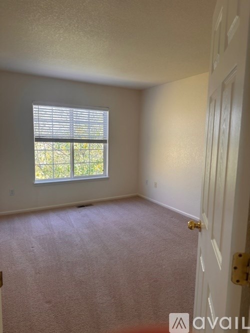 A room with a carpeted floor and a window with blinds.