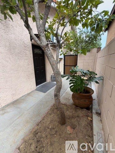A tree in a pot is in front of a wall and a door.