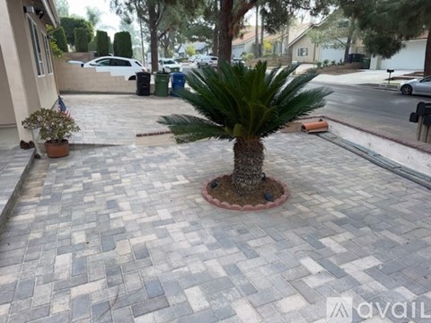 A palm tree in a pot sits on a brick walkway.