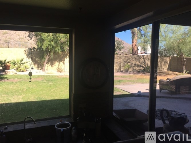 A view from inside a room looking out to a backyard with a lawn and trees.