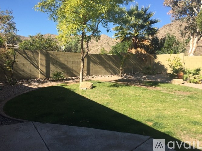 A backyard with a fence and a tree.