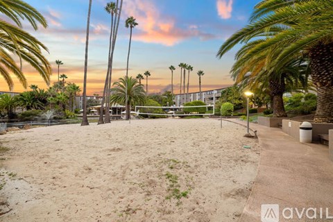 A beach volleyball court surrounded by palm trees.