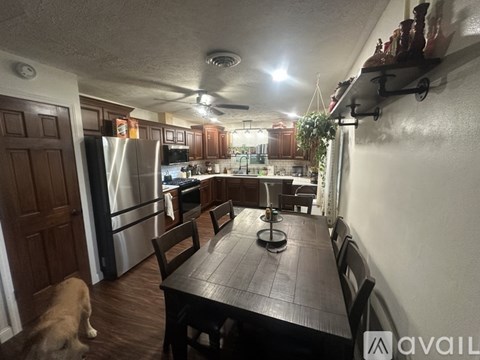 A dog is standing in a kitchen with a table and chairs.