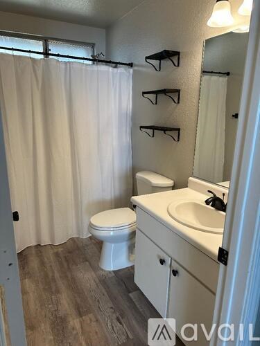 A bathroom with a toilet, sink, and shower curtain.