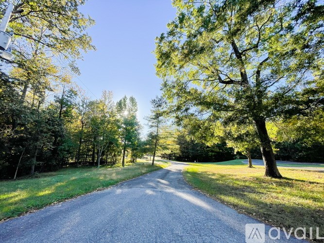 A tree-lined road stretches into the distance under a clear blue sky.
