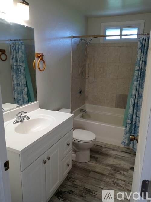 A bathroom with a white sink, toilet, and a shower with a blue curtain.