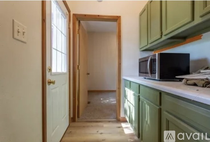 A kitchen with green cabinets and a white door.