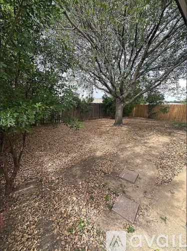 A backyard with a tree and a fence.