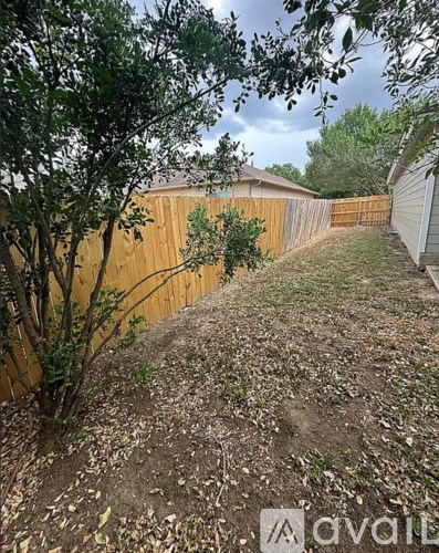 A backyard with a wooden fence and a tree.