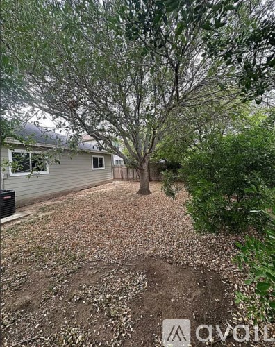 A backyard with a tree and a house in the background.