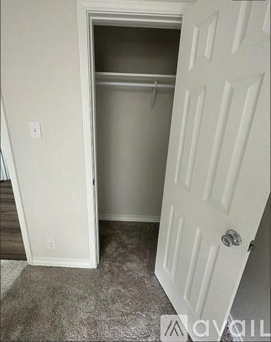 A white door with a handle is open to a small closet.