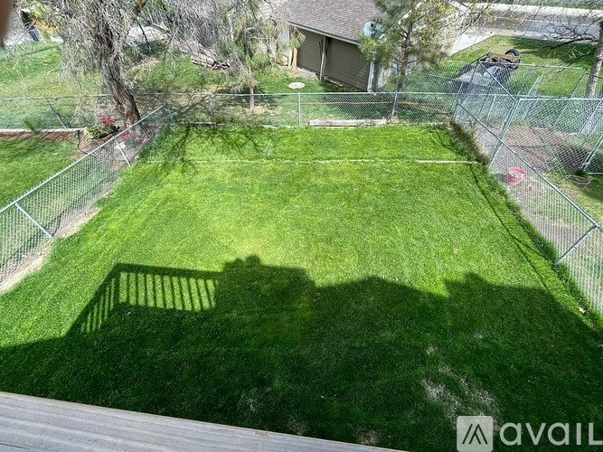 A backyard with a fence and a tree.