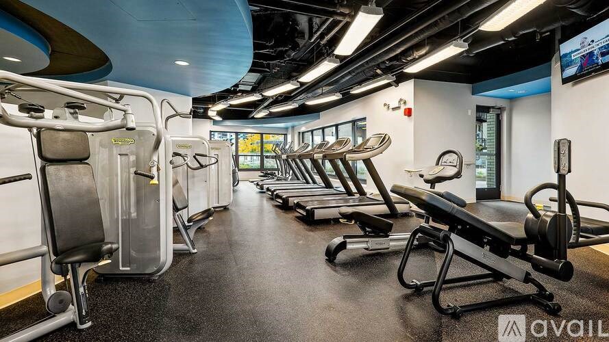 A gym with a row of treadmills and elliptical machines.