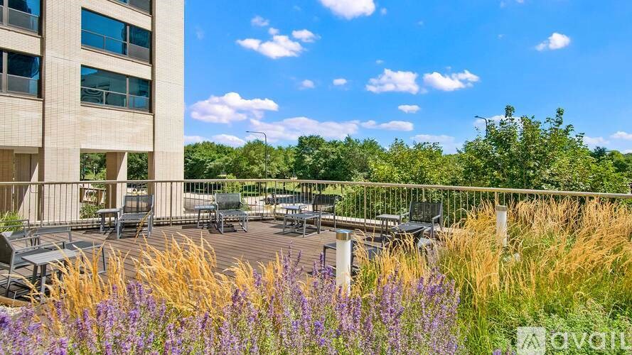A sunny day at the outdoor seating area of a building with purple flowers in the foreground.