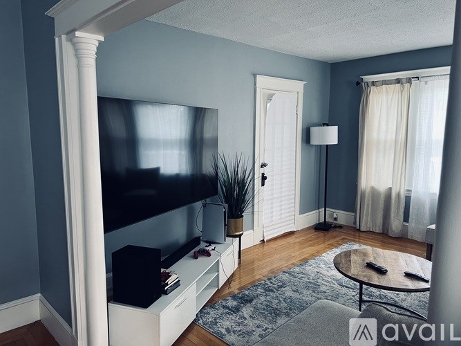 A living room with a television, a plant, and a rug.
