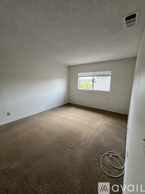 A carpeted room with a window and a ring on the floor.