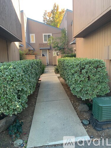 A residential alley with a concrete path and green bushes on both sides.