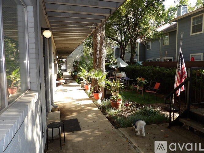 A cat is walking on a concrete path in a garden.