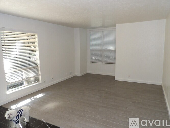 A dog wearing a striped shirt is standing in a room with a large window and a wooden floor.