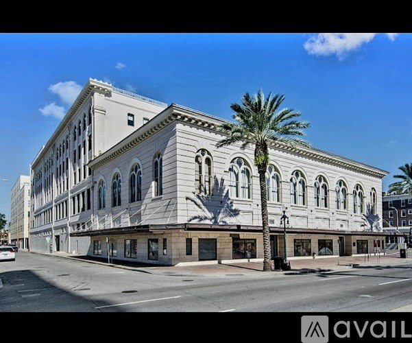 A large white building with a palm tree in front of it.