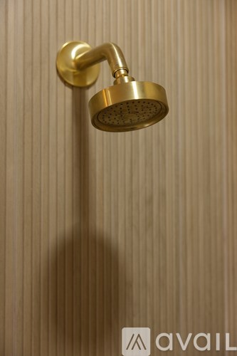 A golden shower head mounted on a wall.