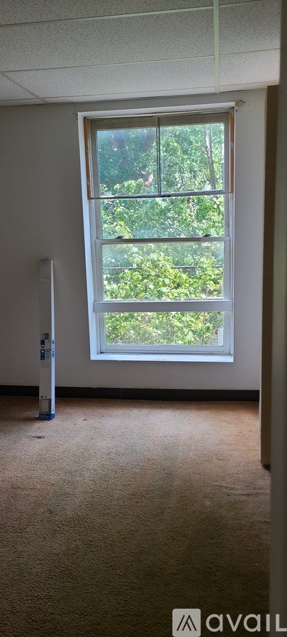 A room with a carpeted floor and a window showing greenery outside.