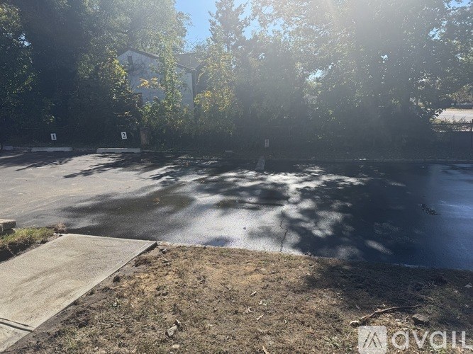 A sunny day at a park with trees and a building in the background.