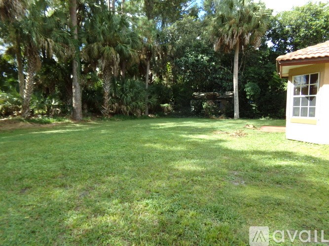 A backyard with a shed and trees.
