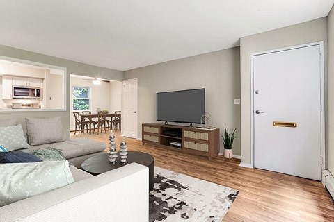 A living room with a grey sofa and a television.