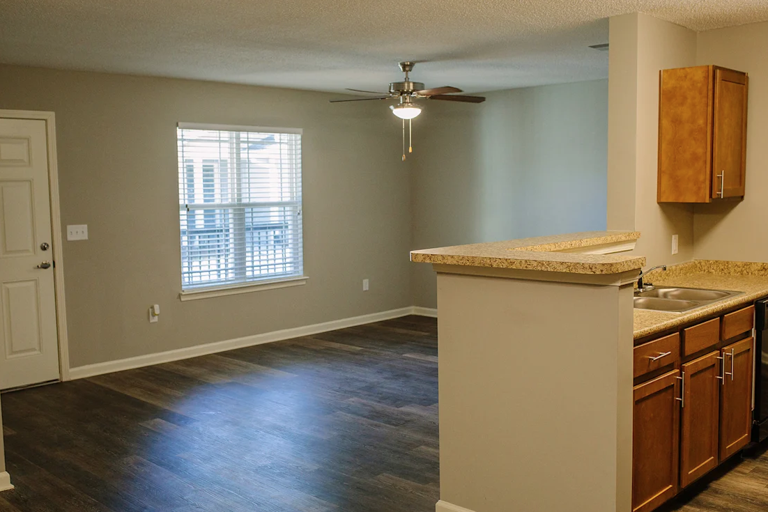A kitchen with a counter and cabinets.