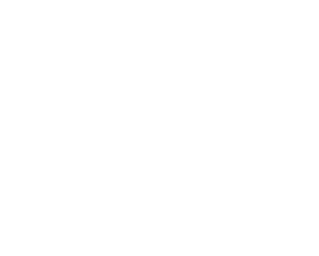 Elysian Homes at Cadence logo