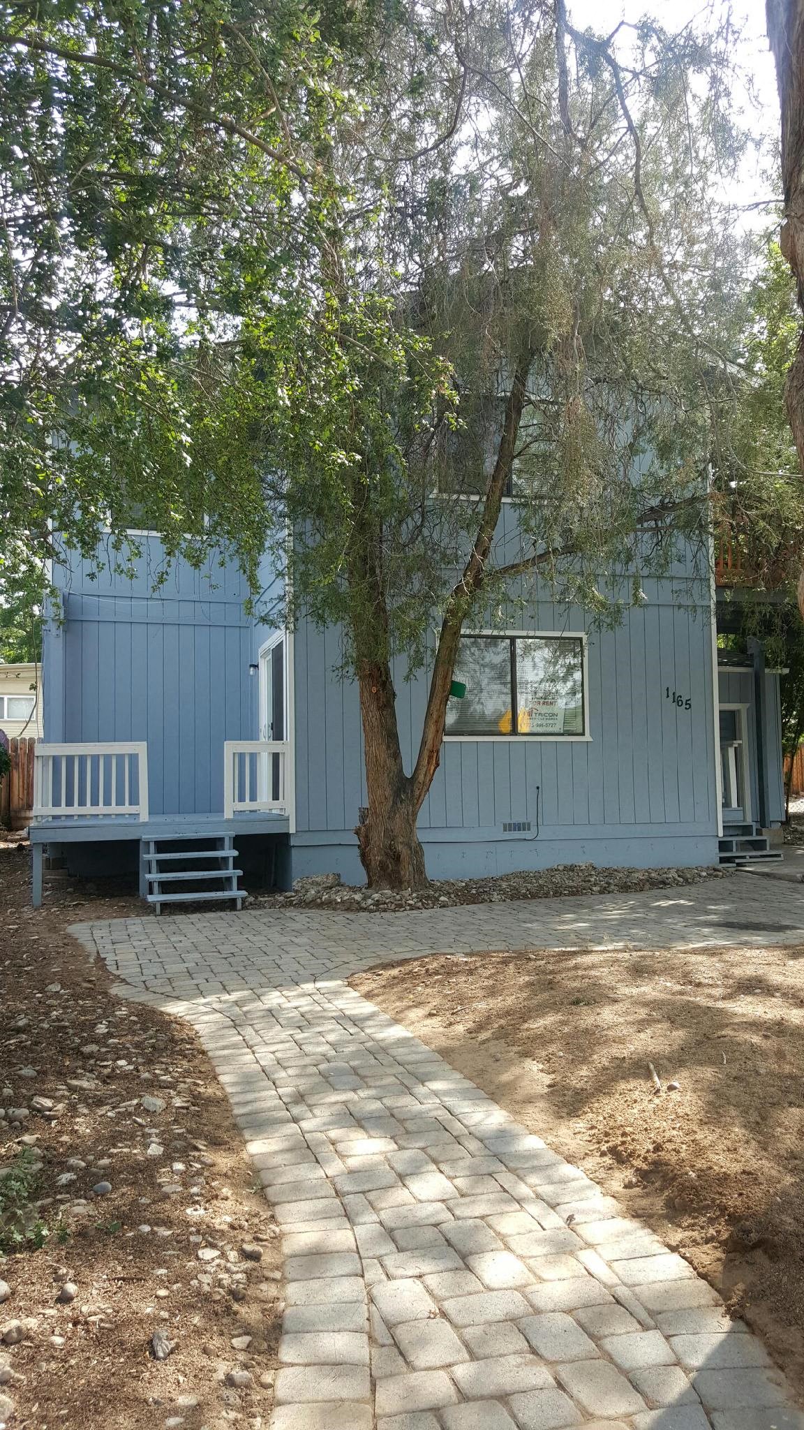 a blue house with a tree and a pathway
