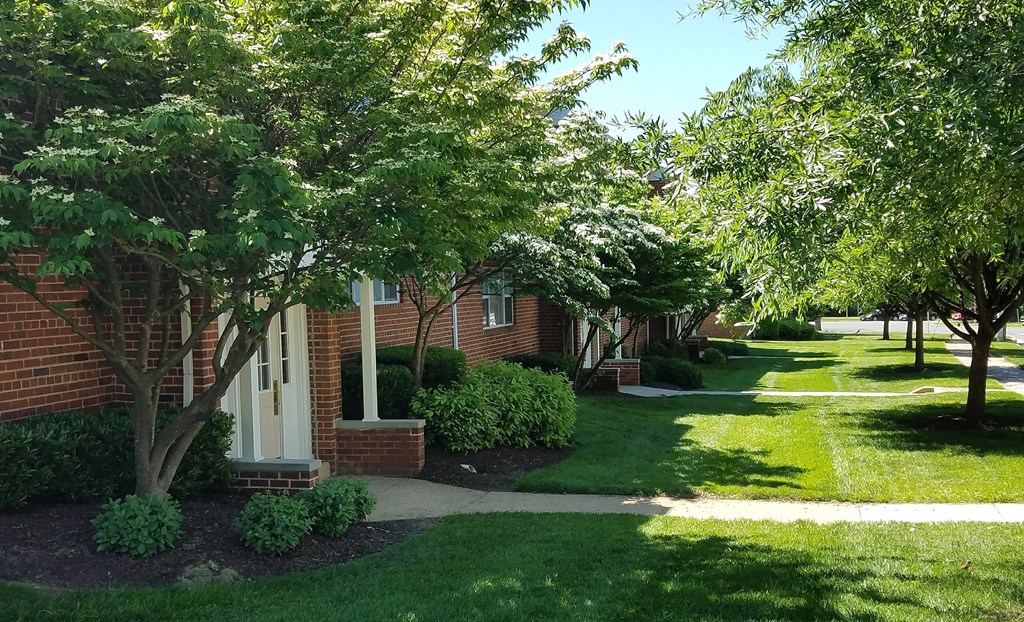 A tree in front of a house.