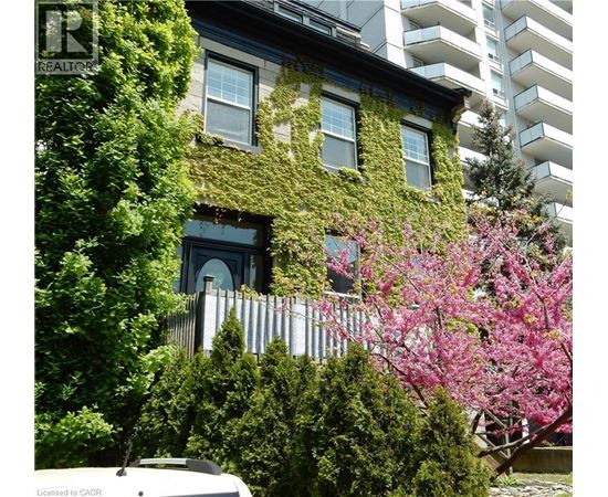 A building with a green vine on the side.