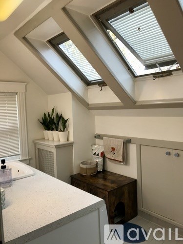 A bathroom with a skylight and a white sink.
